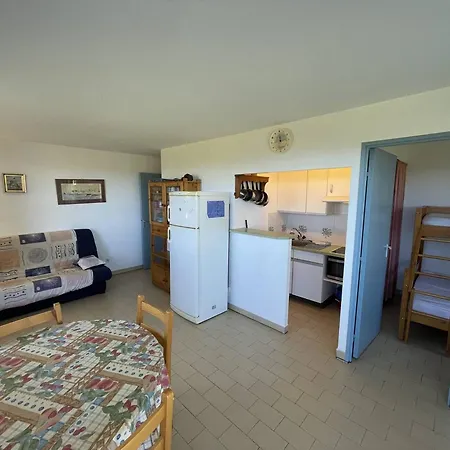 2 Pieces En Front De Avec Piscine, Terrasse Et Parking - 5 Couchages, Cyprien - Fr-1-106-102 * Saint-Cyprien (Pyrenees-Orientales)