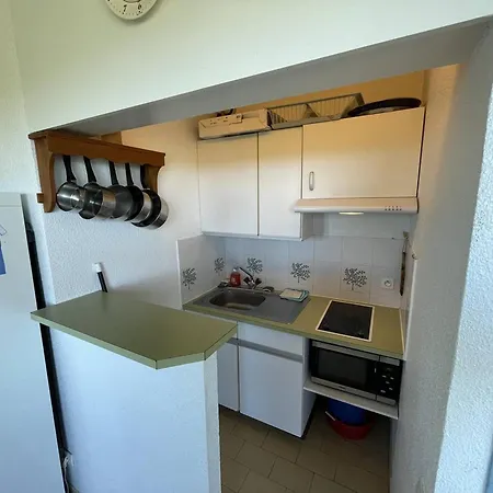 2 Pieces En Front De Avec Piscine, Terrasse Et Parking - 5 Couchages, Cyprien - Fr-1-106-102 Apartment *