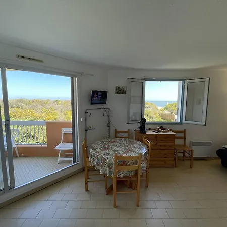 2 Pieces En Front De Avec Piscine, Terrasse Et Parking - 5 Couchages, Cyprien - Fr-1-106-102 Lejlighed *