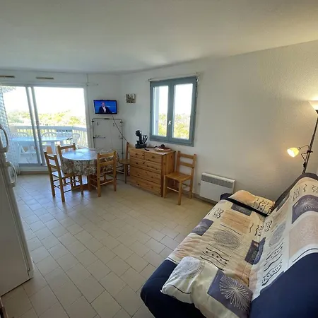 Apartment 2 Pieces En Front De Avec Piscine, Terrasse Et Parking - 5 Couchages, Cyprien - Fr-1-106-102